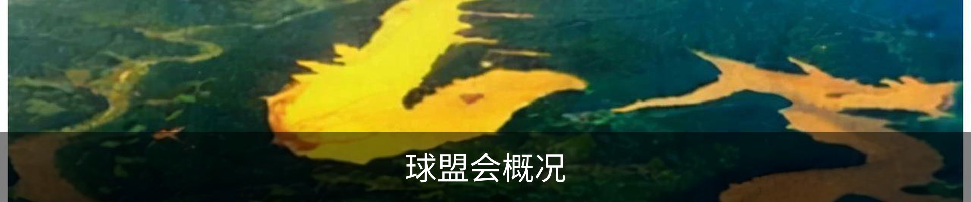 球盟会概况